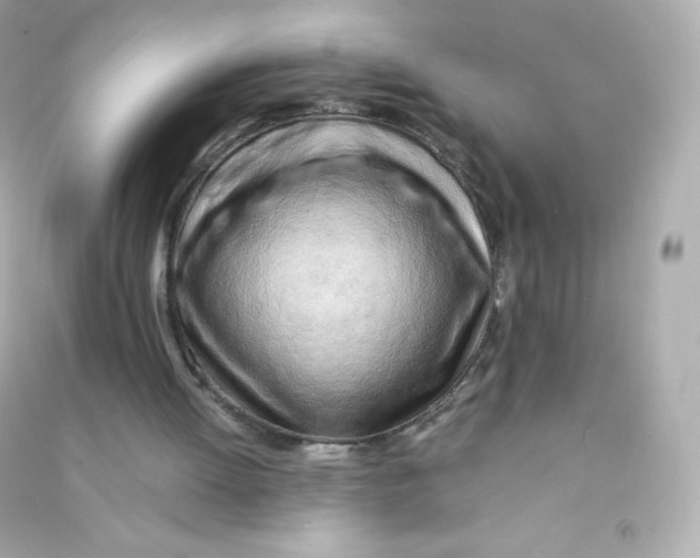 X0000090430052200708102014