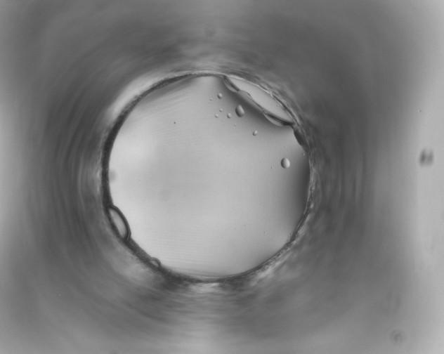 X0000090430054200708102014