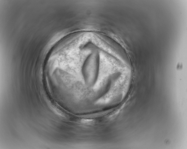 X0000090430055200708102014