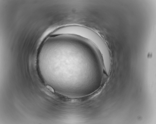 X0000090430056200708102014