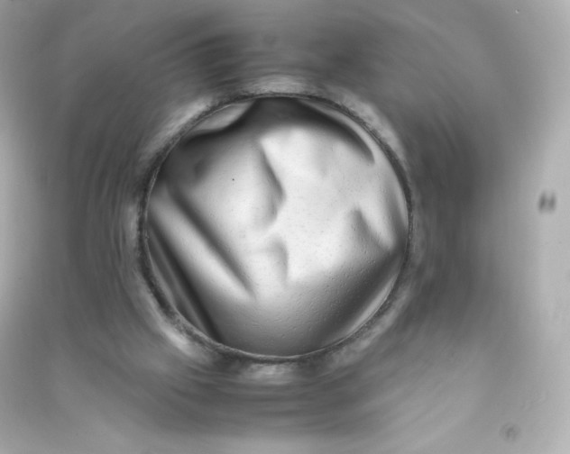 X0000090430057200708102014