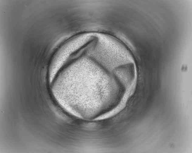 X0000090430058200708102014