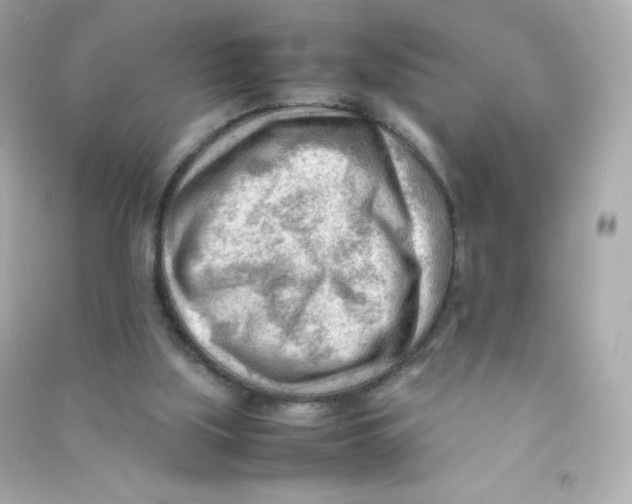 X0000090430059200708102014