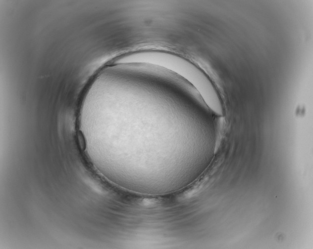 X0000090430060200708102014