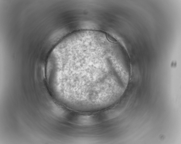 X0000090430061200708102014