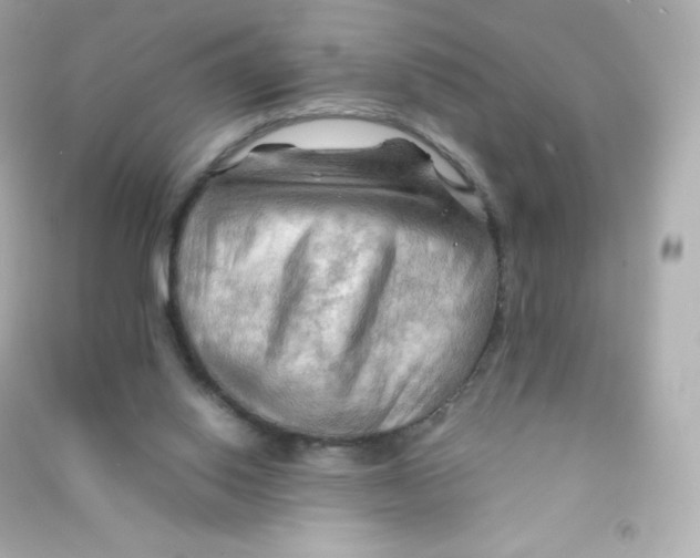 X0000090430062200708102014