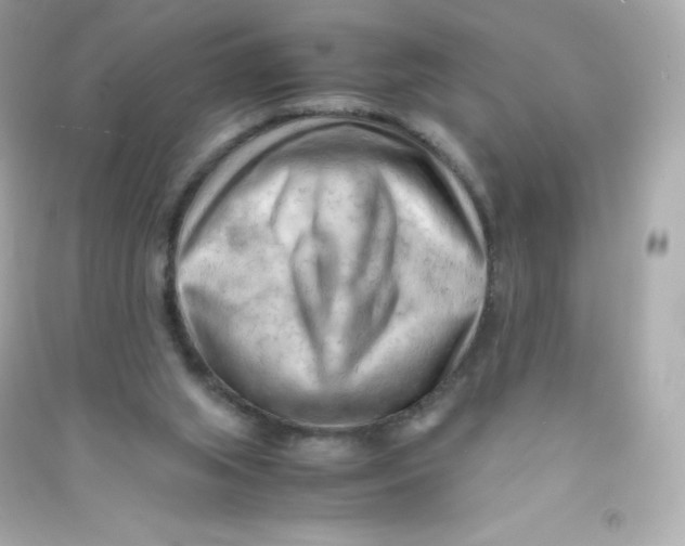 X0000090430063200708102014