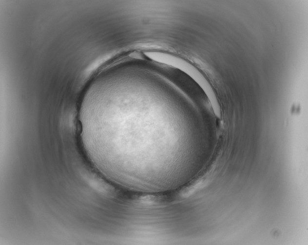 X0000090430064200708102014
