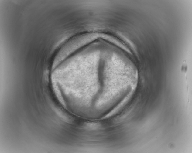 X0000090430067200708102014