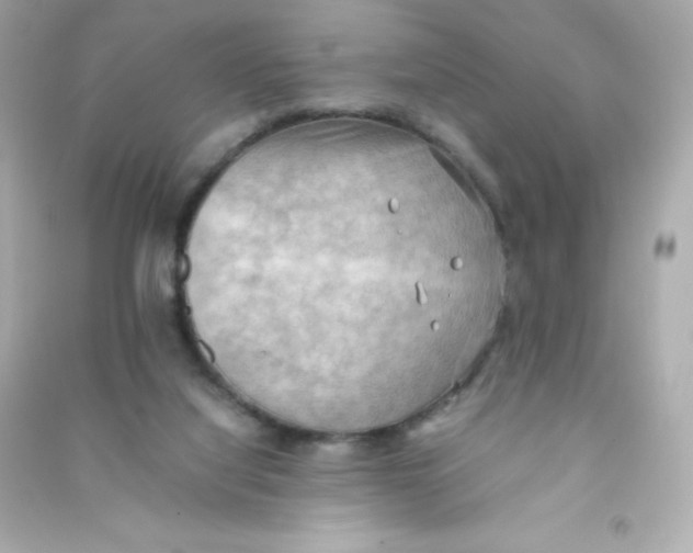 X0000090430068200708102014