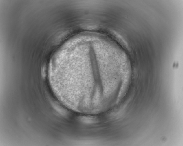 X0000090430069200708102014