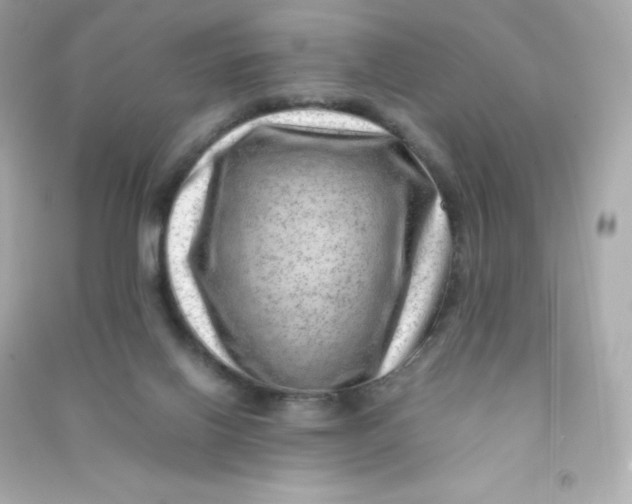 X0000090430070200708102014