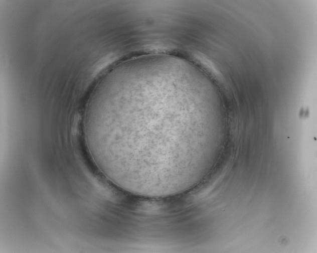 X0000090430071200708102014
