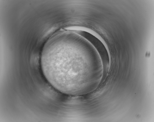 X0000090430072200708102014