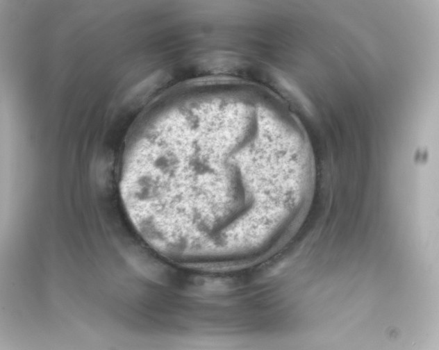 X0000090430073200708102014