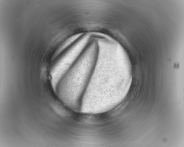 X0000090430074200708102014