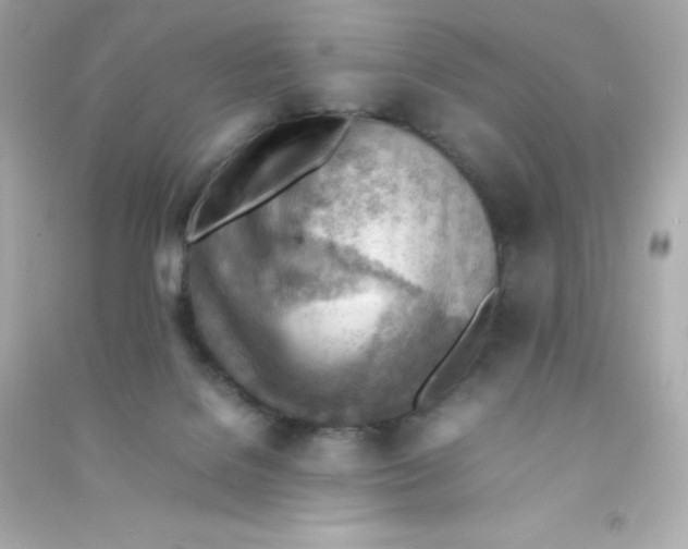 X0000090430076200708102014