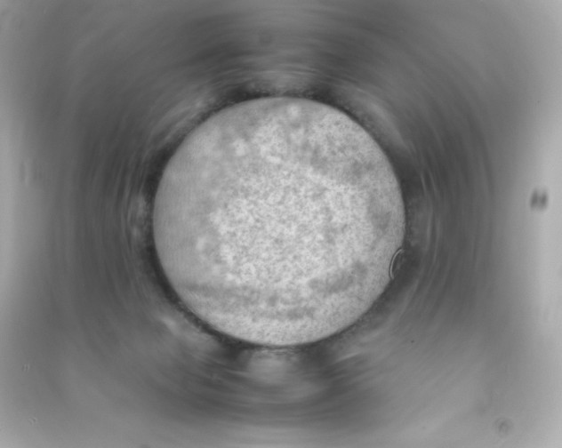 X0000090430077200708102014