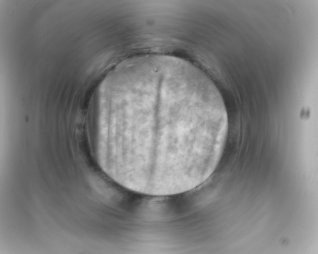 X0000090430078200708102014