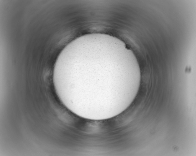 X0000090430079200708102014