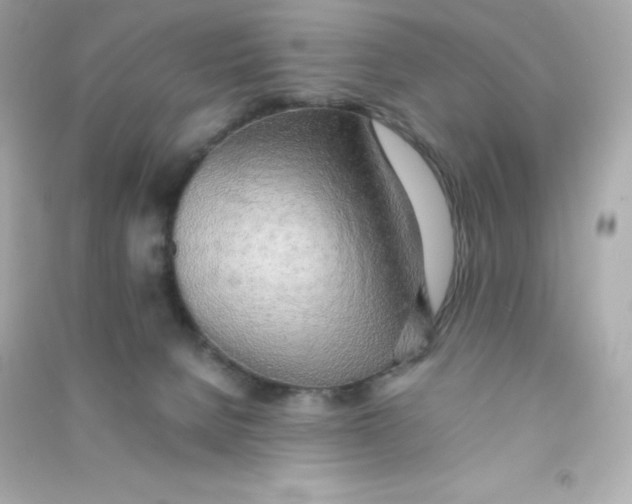 X0000090430080200708102014