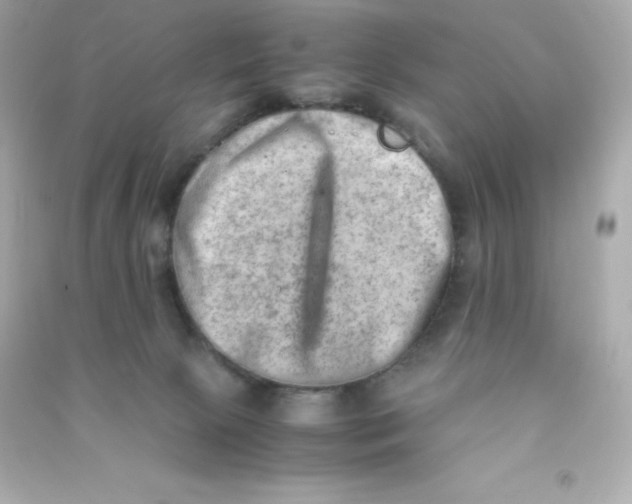 X0000090430081200708102014