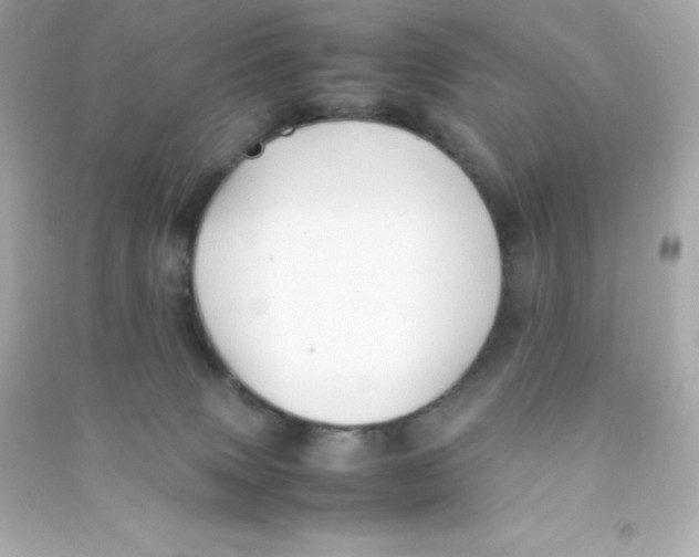 X0000090430083200708102014