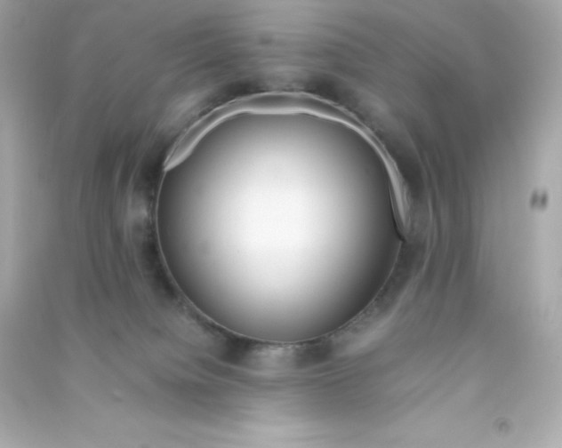 X0000090430084200708102014