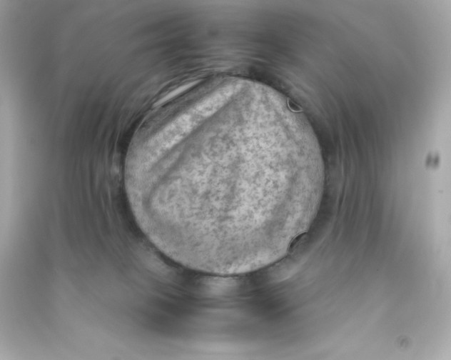 X0000090430085200708102014