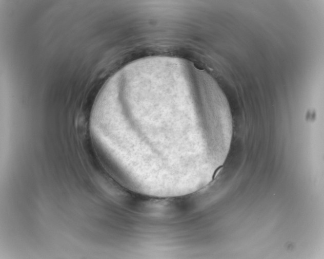 X0000090430086200708102014