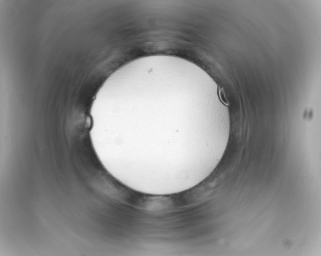 X0000090430087200708102014