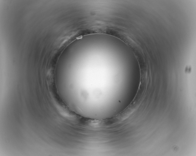 X0000090430088200708102014