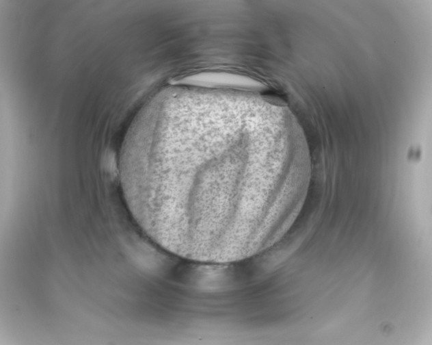 X0000090430089200708102014