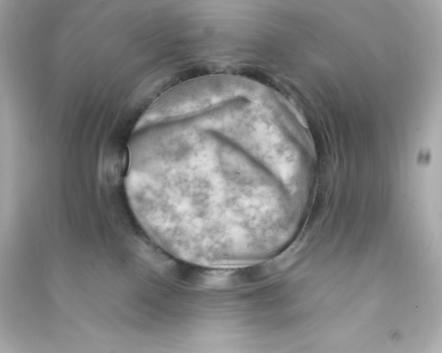 X0000090430090200708102014