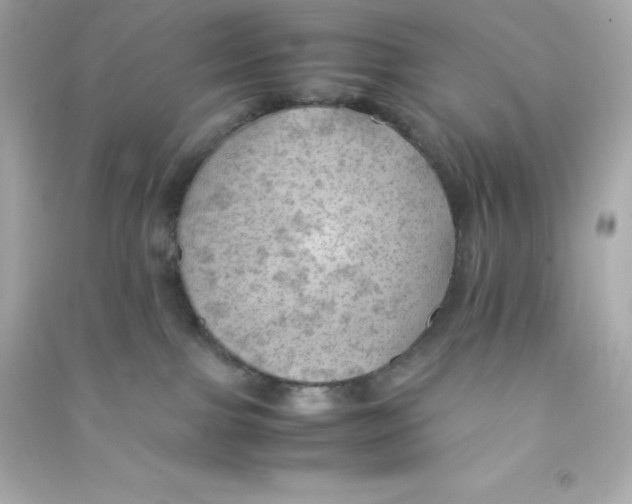 X0000090430091200708102014