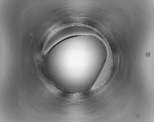 X0000090430092200708102014