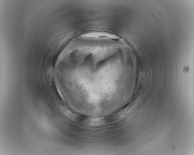 X0000090430093200708102014