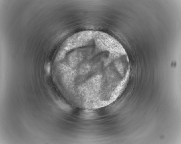 X0000090430095200708102014