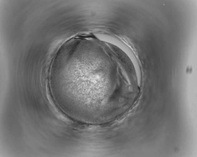 X0000090430097200708102014