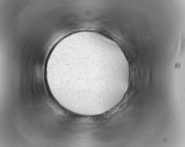 X0000090430100200708102013