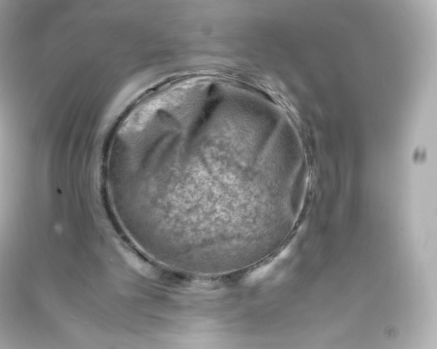 X0000090430101200708102013