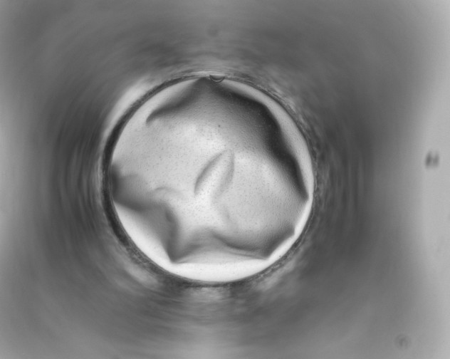 X0000090430102200708102013
