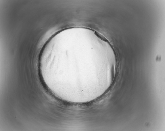 X0000090430103200708102013