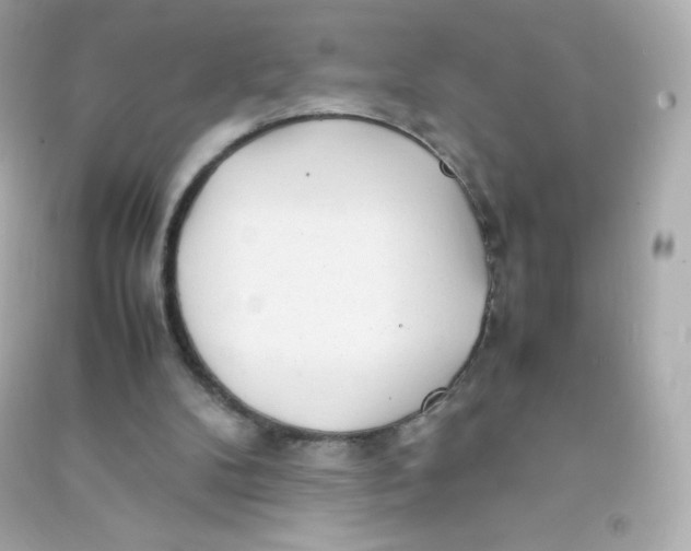 X0000090430104200708102013