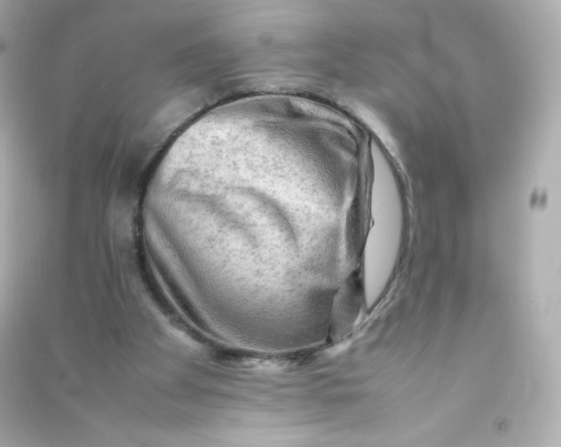 X0000090430105200708102013