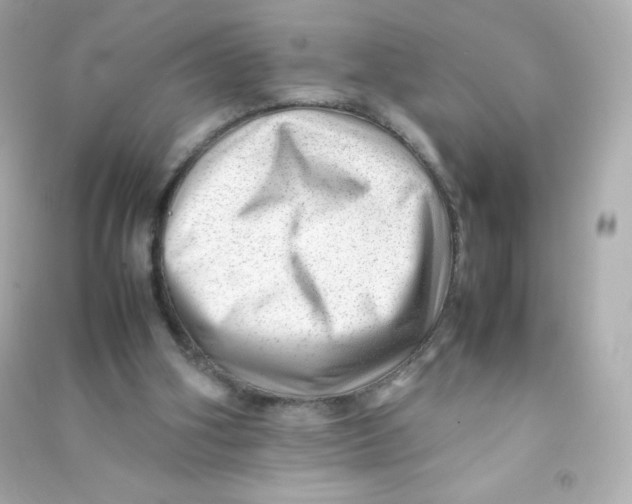 X0000090430106200708102013