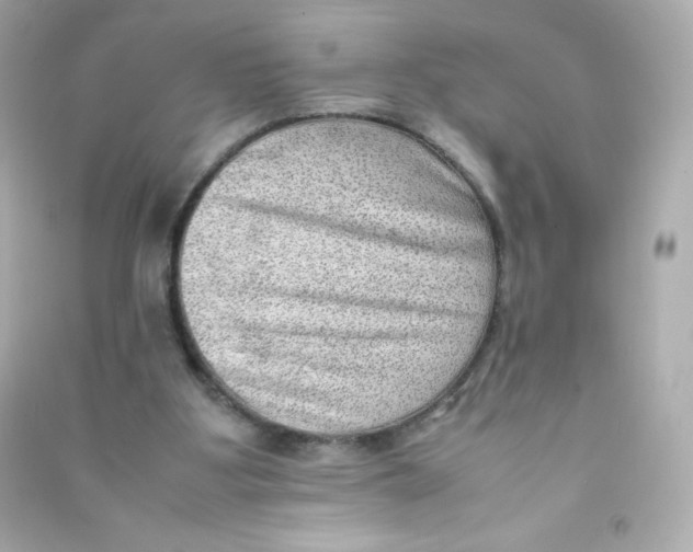 X0000090430107200708102013