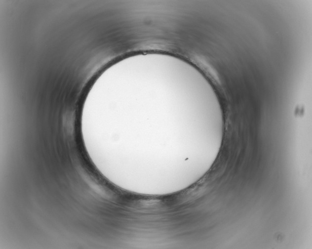 X0000090430108200708102013