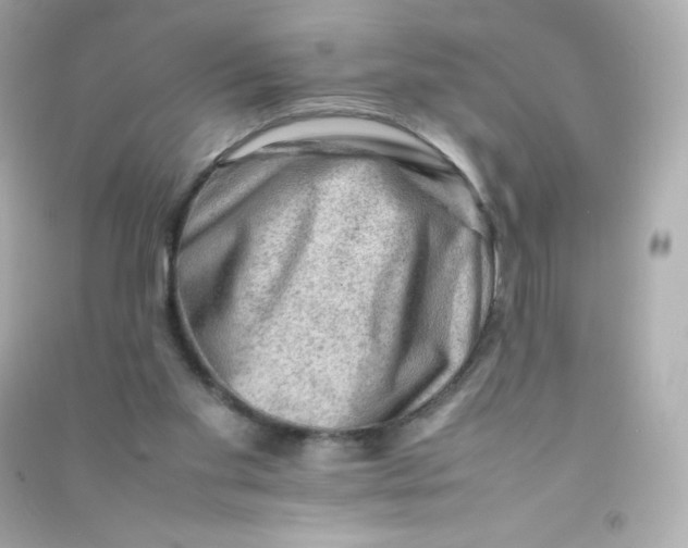 X0000090430109200708102013