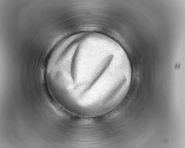 X0000090430110200708102013